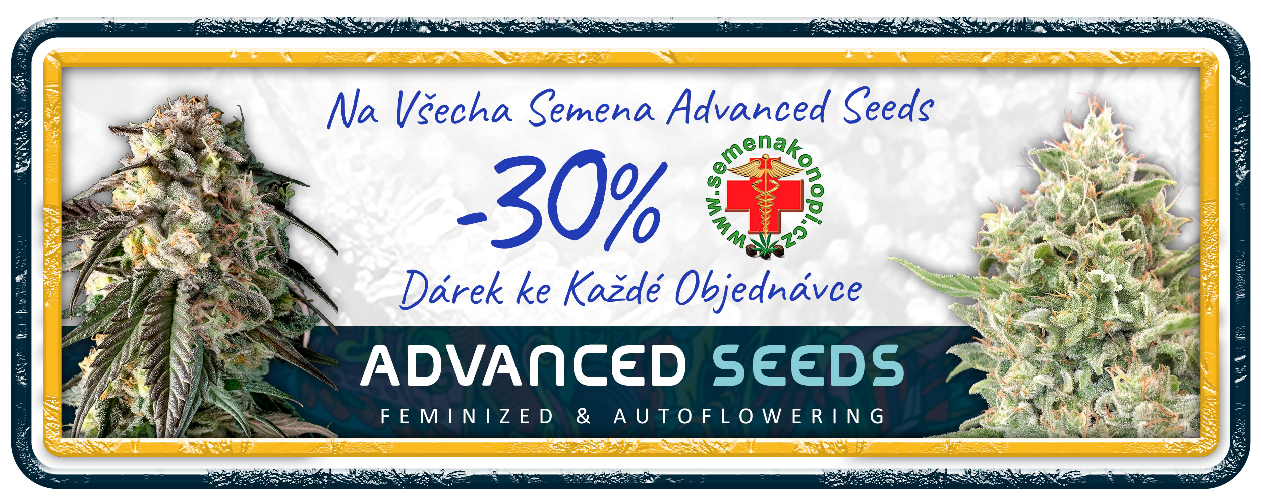 banner-Advanced-Seeds-Checo-mayo-2023